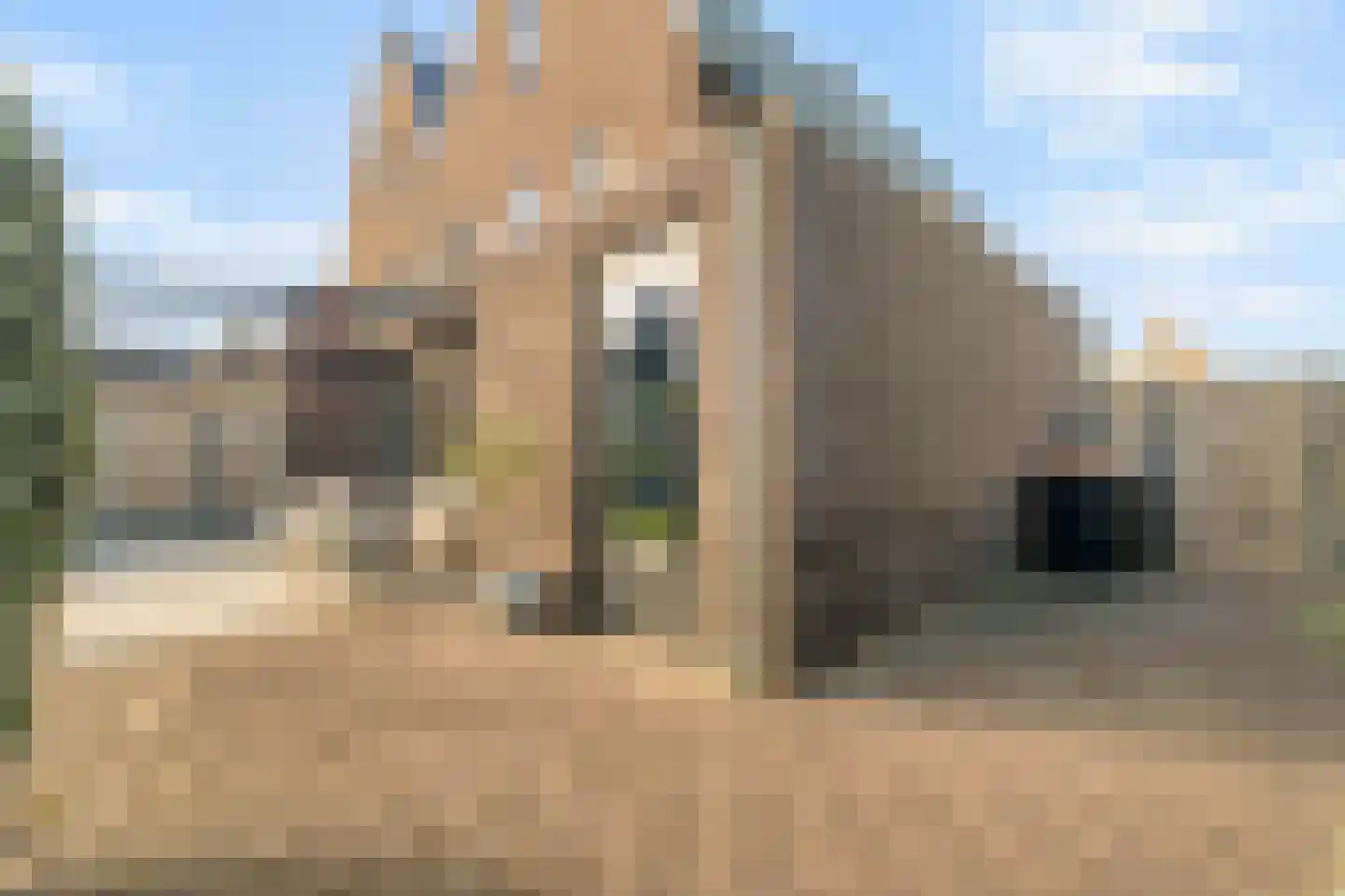 Wijting 20 Schagen thumbnail 28