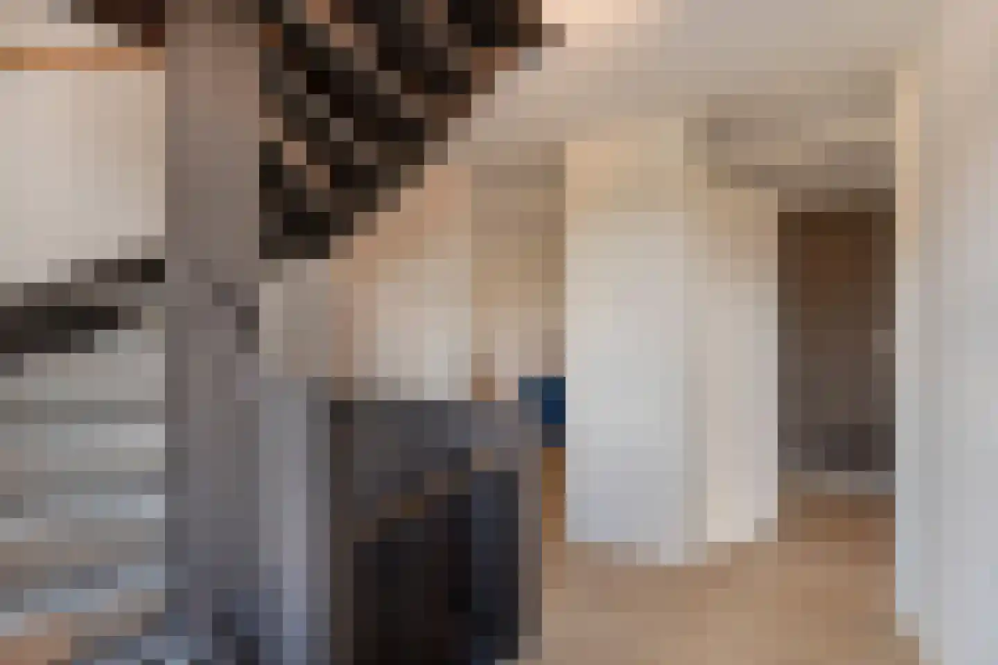 Wijting 20 Schagen thumbnail 33