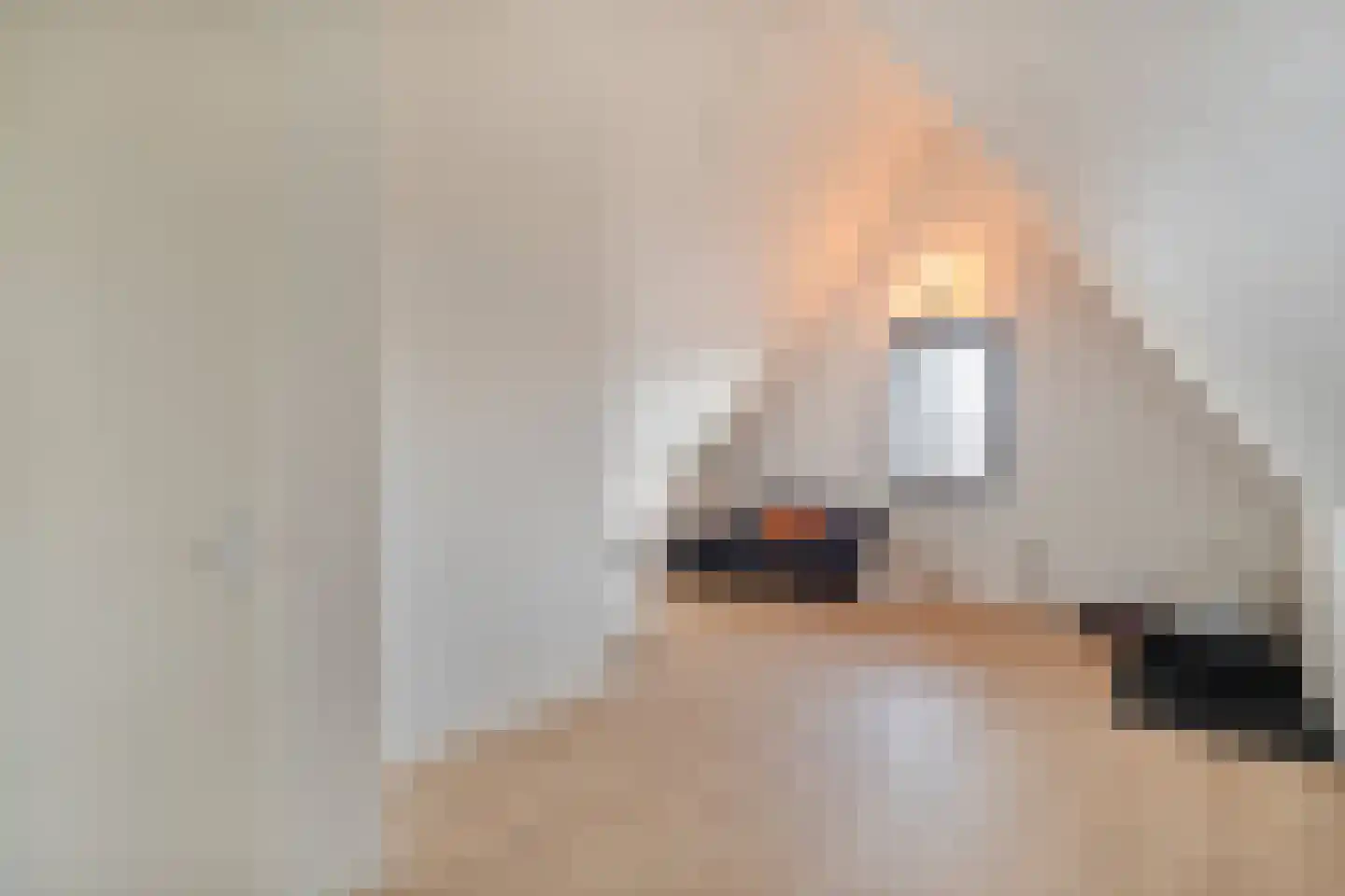 Wijting 20 Schagen thumbnail 44