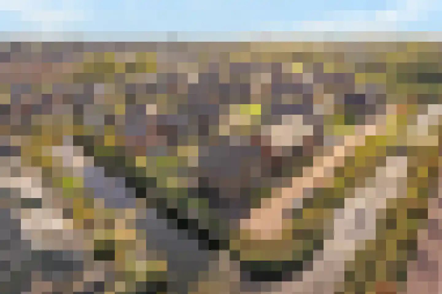 Wijting 20 Schagen thumbnail 50
