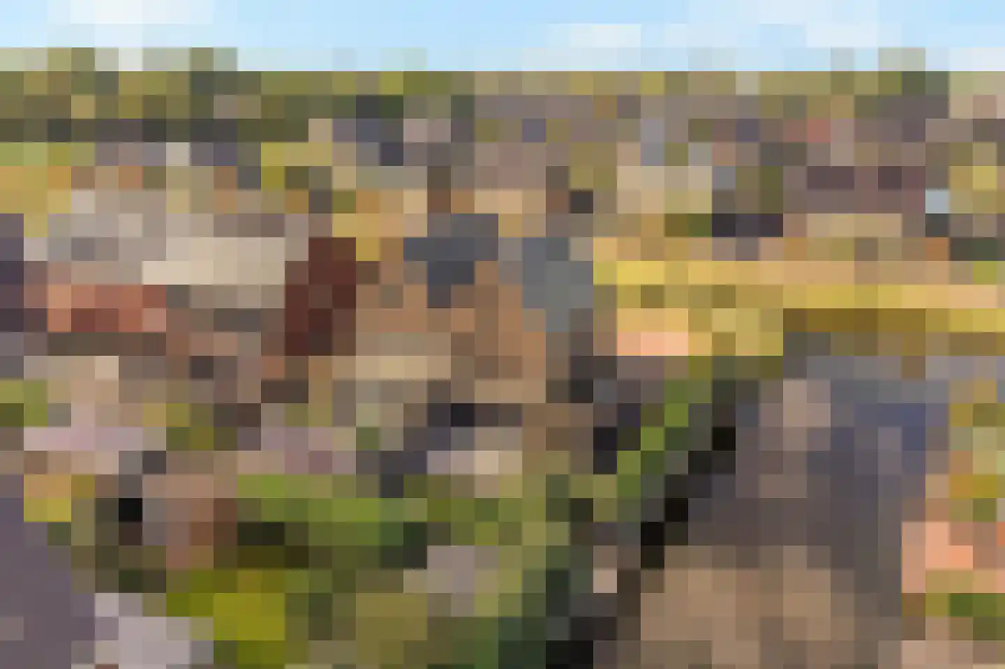 Wijting 20 Schagen thumbnail 51