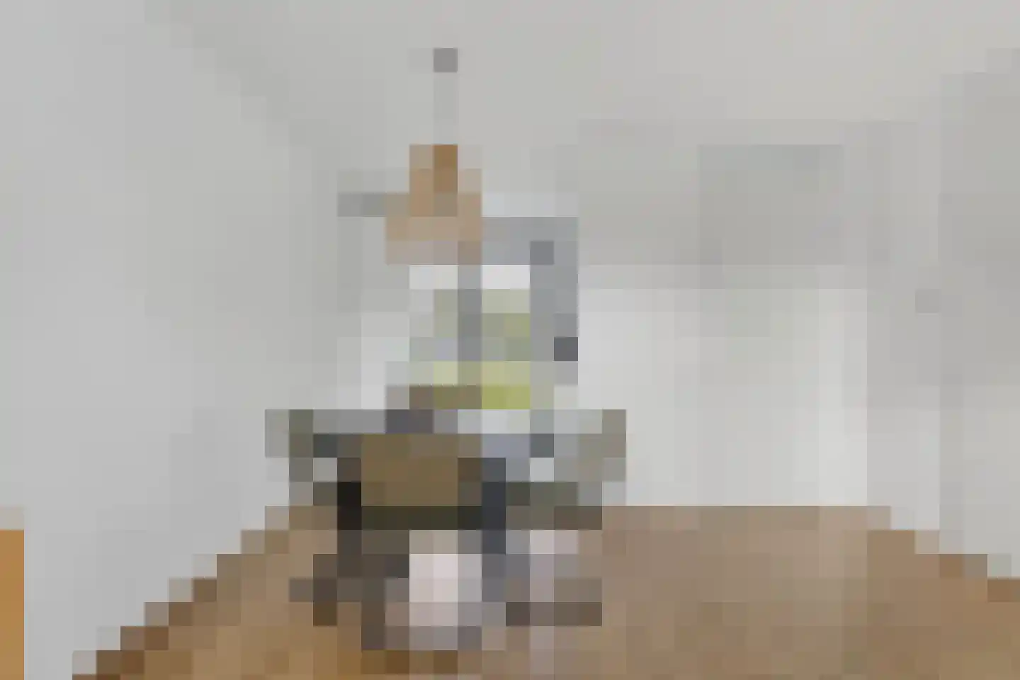 Wijting 4 Schagen thumbnail 13