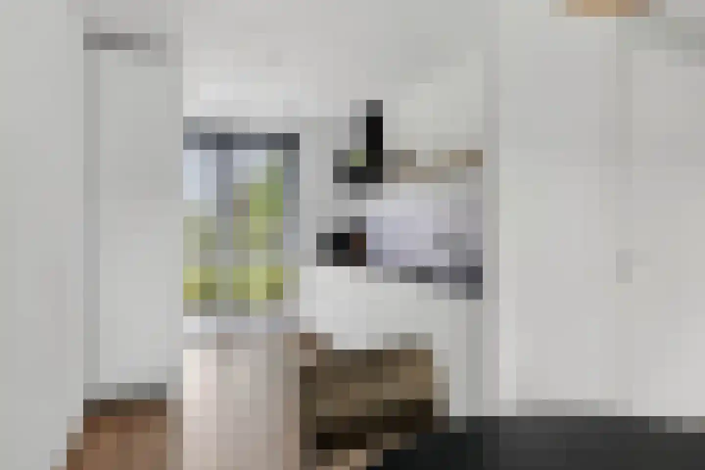 Wijting 4 Schagen thumbnail 15