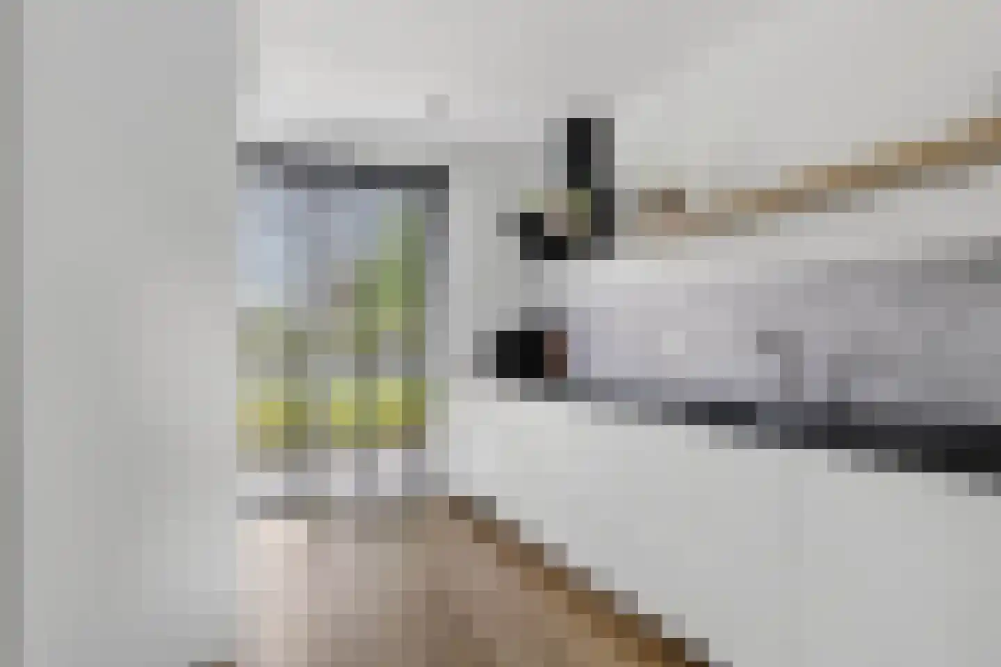 Wijting 4 Schagen thumbnail 16