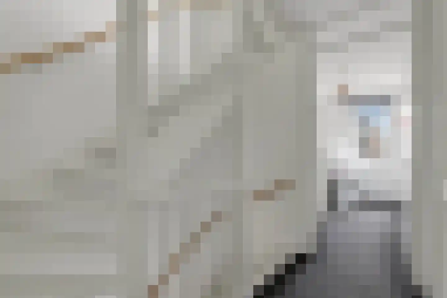 Wijting 4 Schagen thumbnail 17