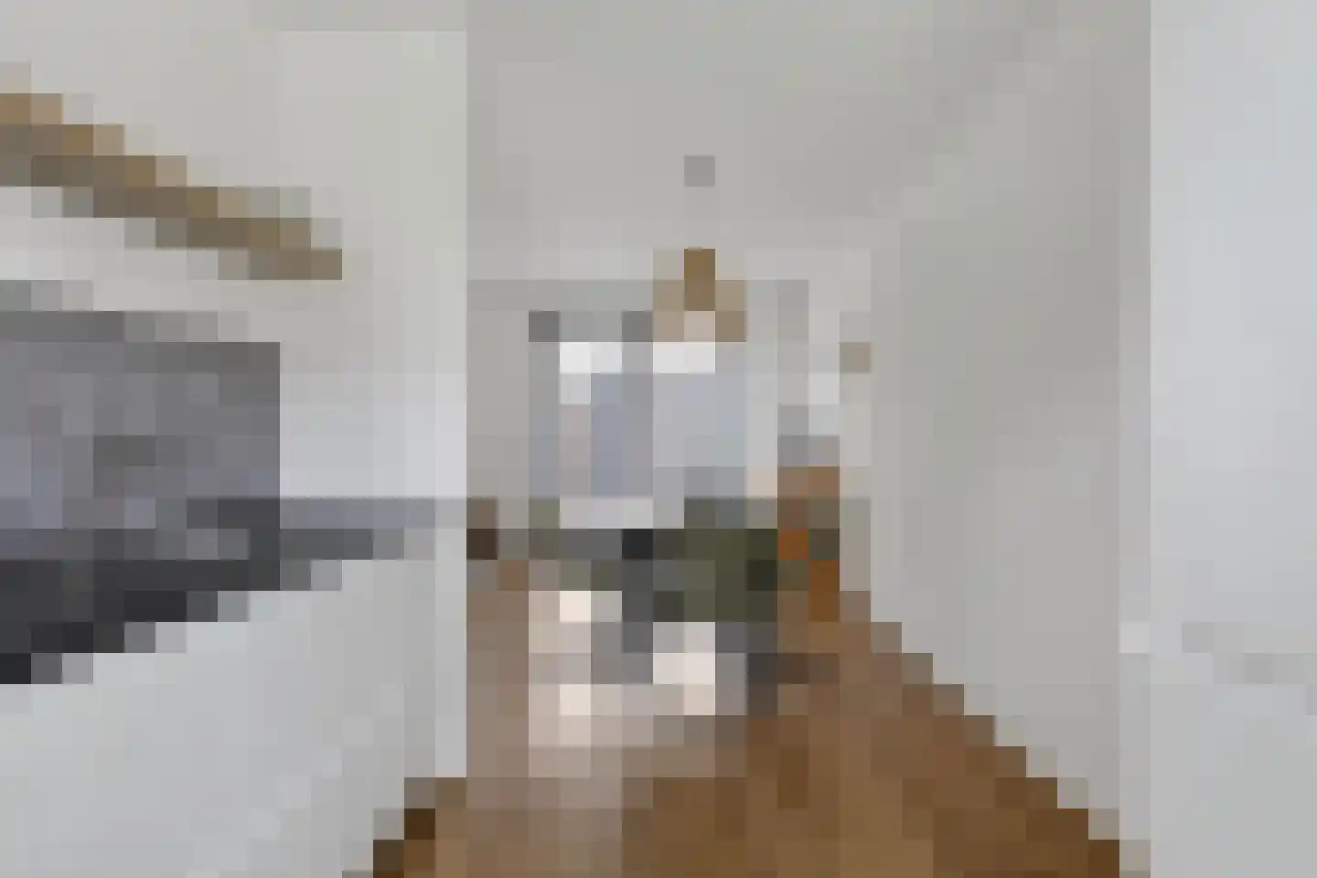 Wijting 4 Schagen thumbnail 19