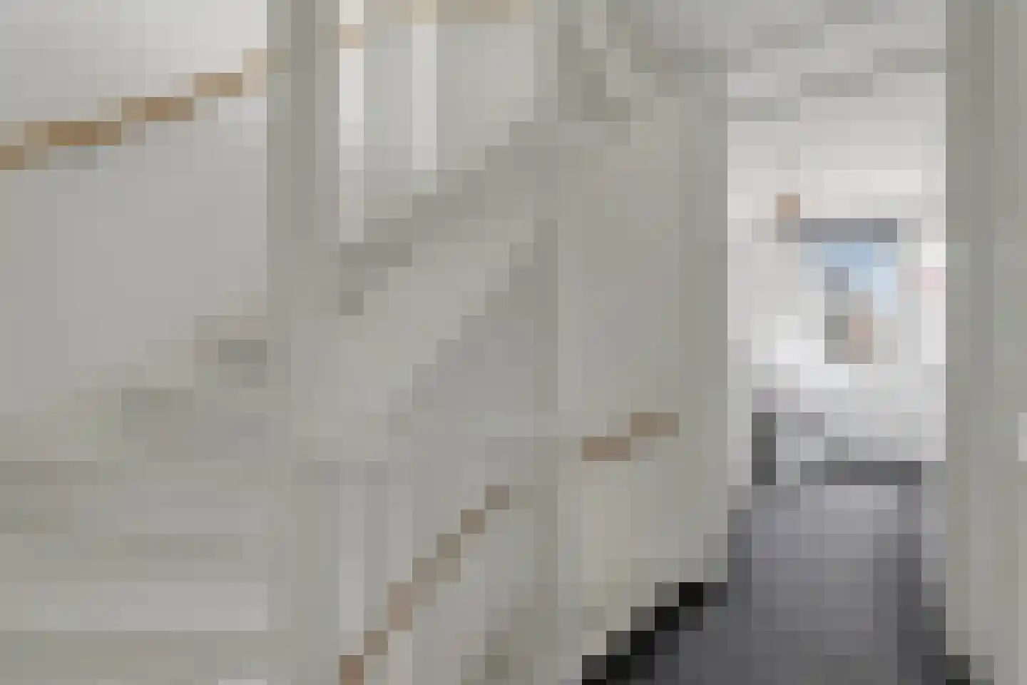 Wijting 4 Schagen thumbnail 22