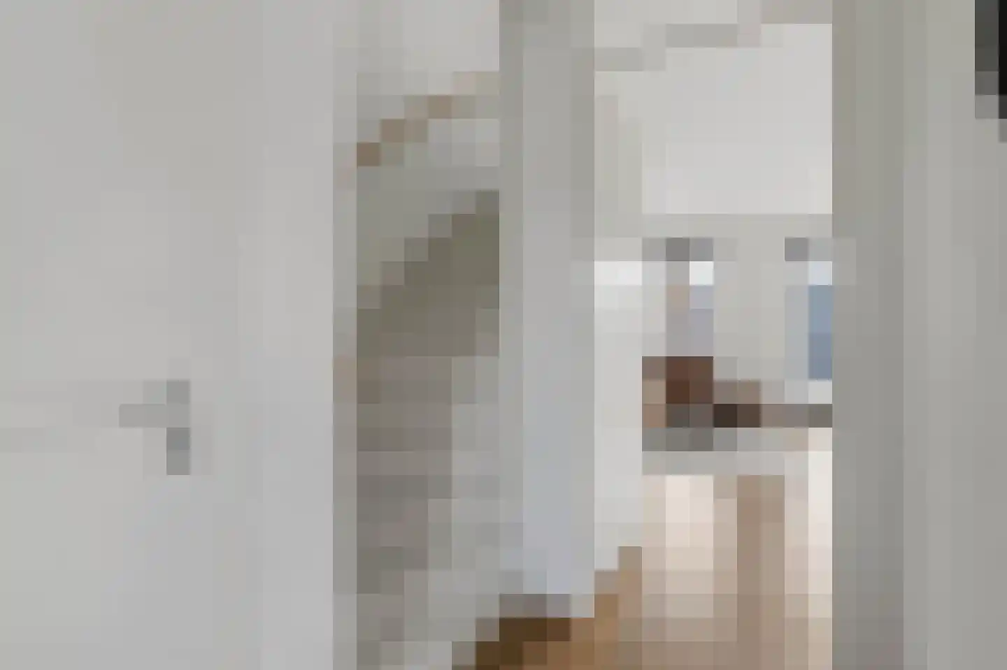Wijting 4 Schagen thumbnail 33