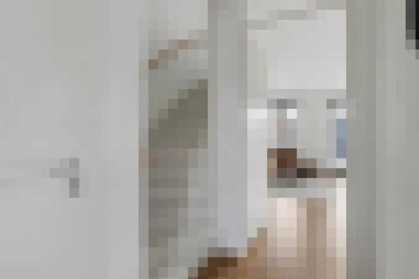 Wijting 4 Schagen thumbnail 7