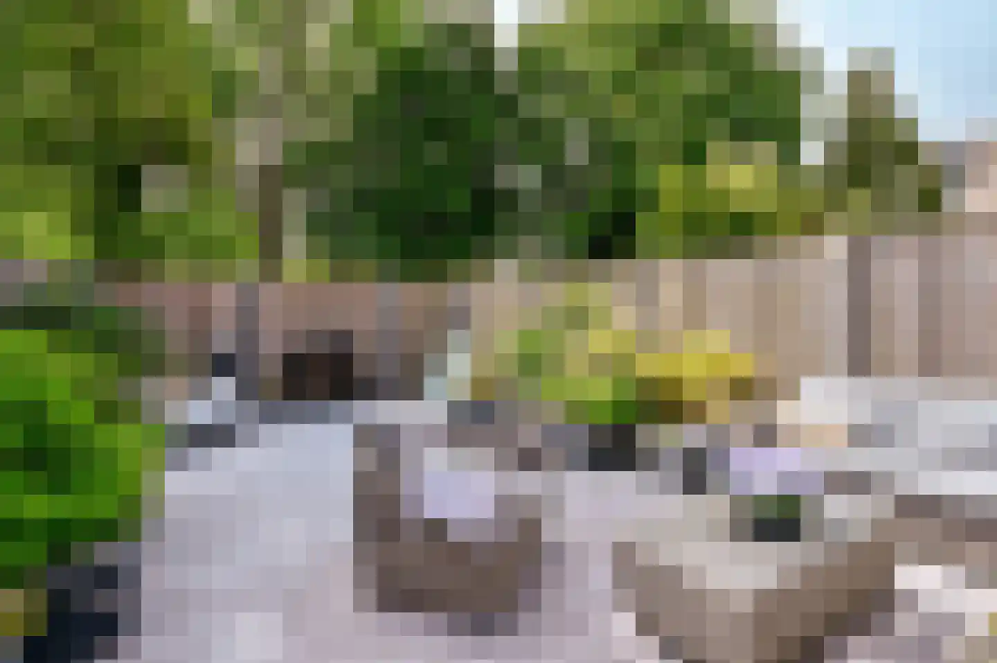 Wijtingstraat 8 Almere thumbnail 33