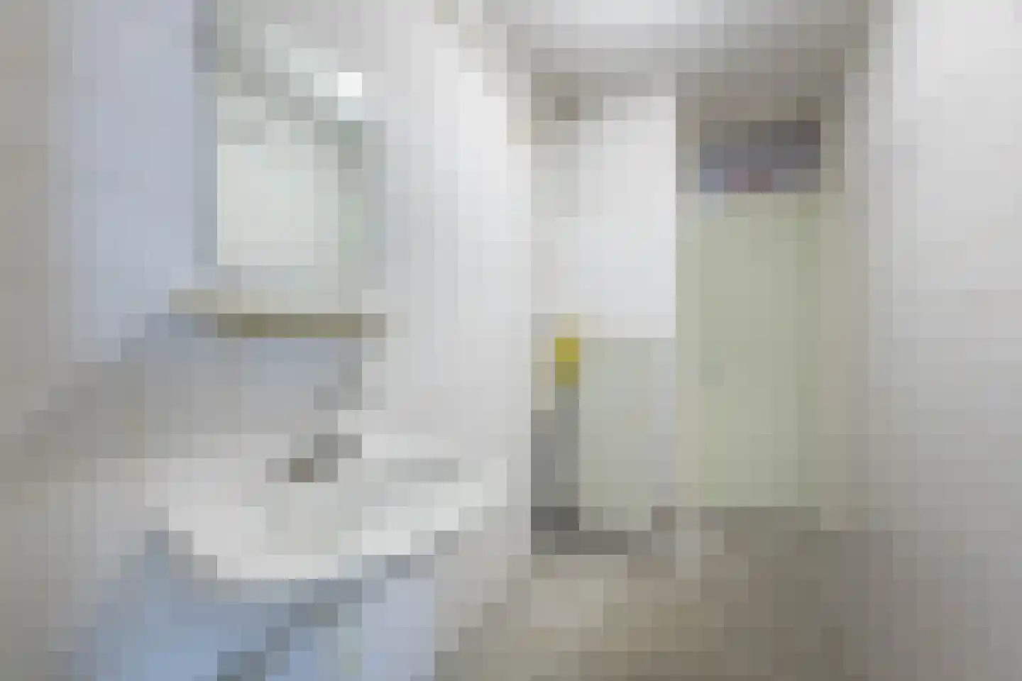 Wijttenbachstraat 297 Amsterdam thumbnail 15