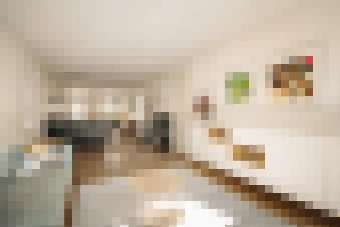 Wijttenbachstraat 39 Amsterdam thumbnail 4