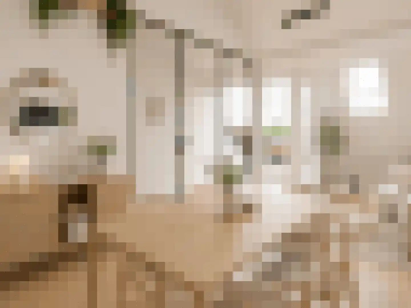 Wijttenbachstraat 51 D Amsterdam thumbnail 19