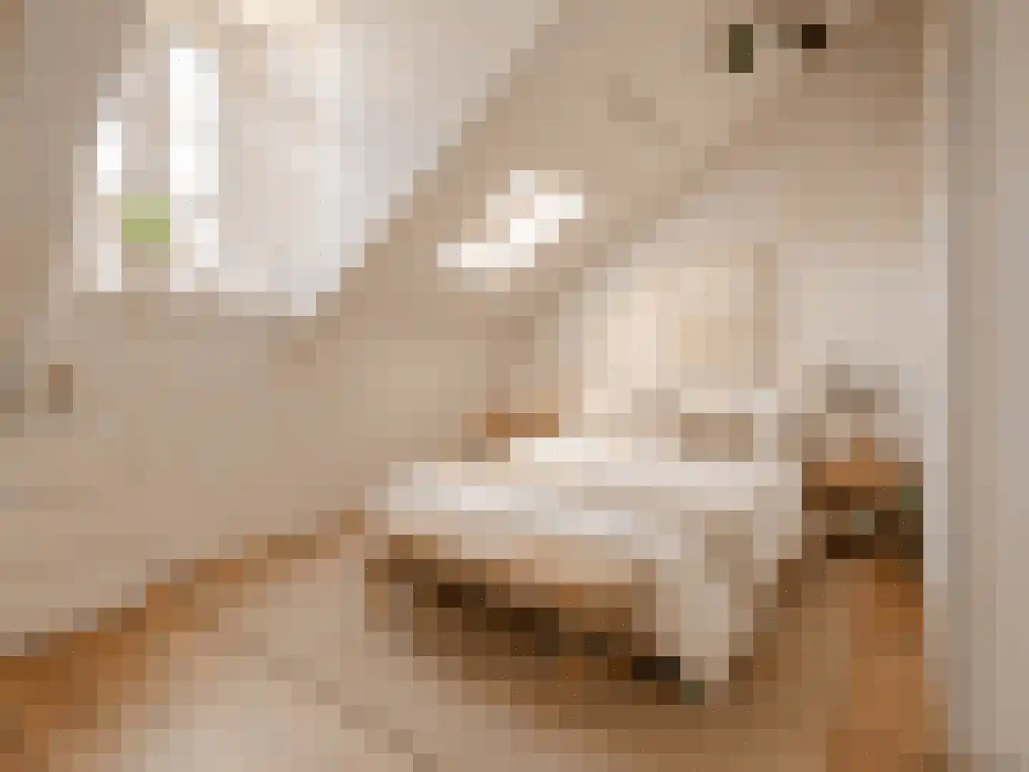 Wijttenbachstraat 51 D Amsterdam thumbnail 4