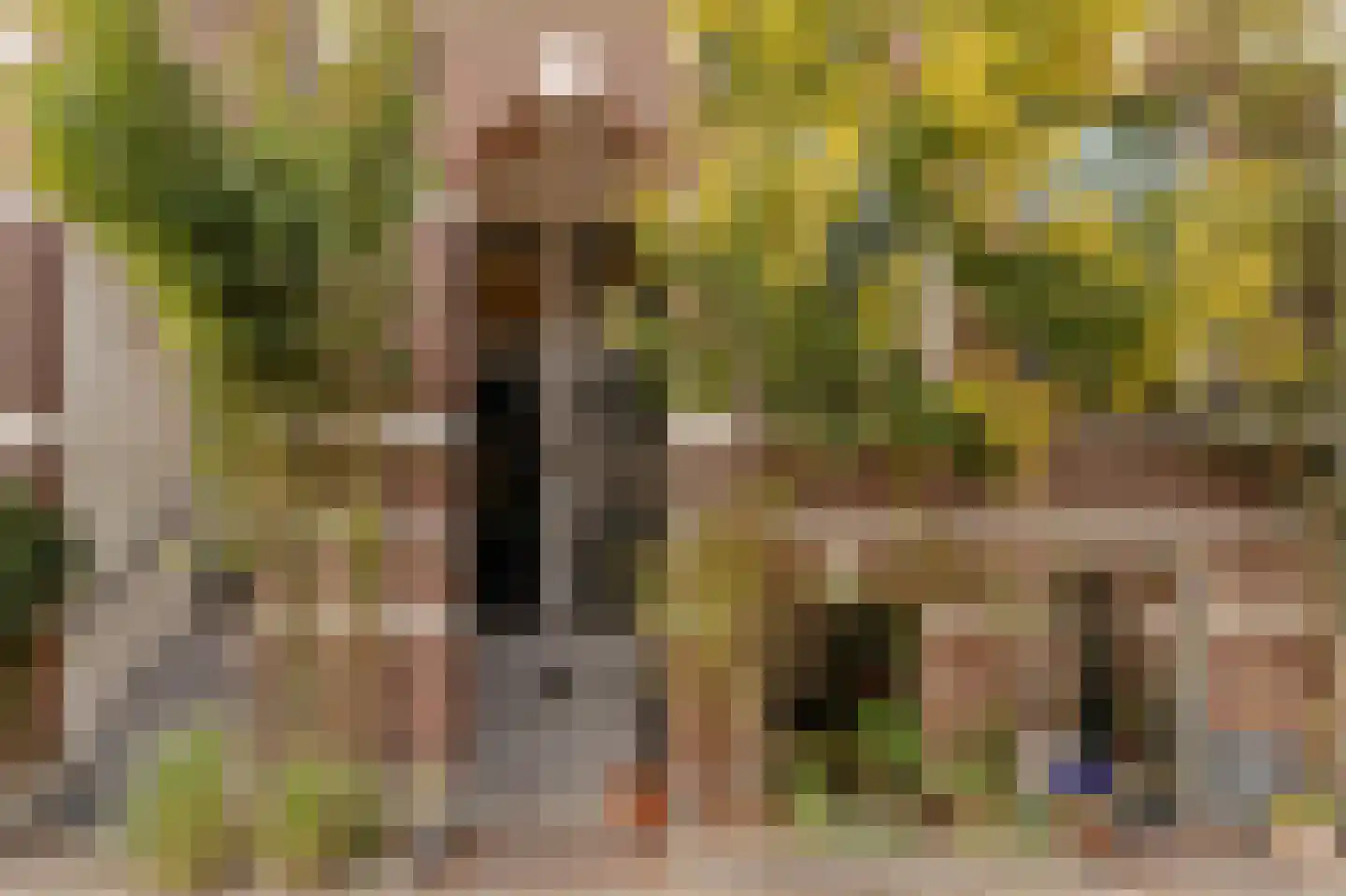 Wijttenbachstraat 51 D Amsterdam thumbnail 5