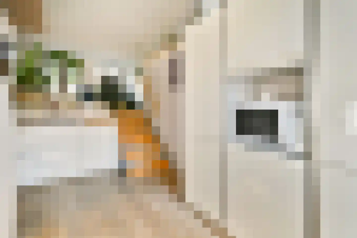 Wijttenbachstraat 59 B Amsterdam thumbnail 6