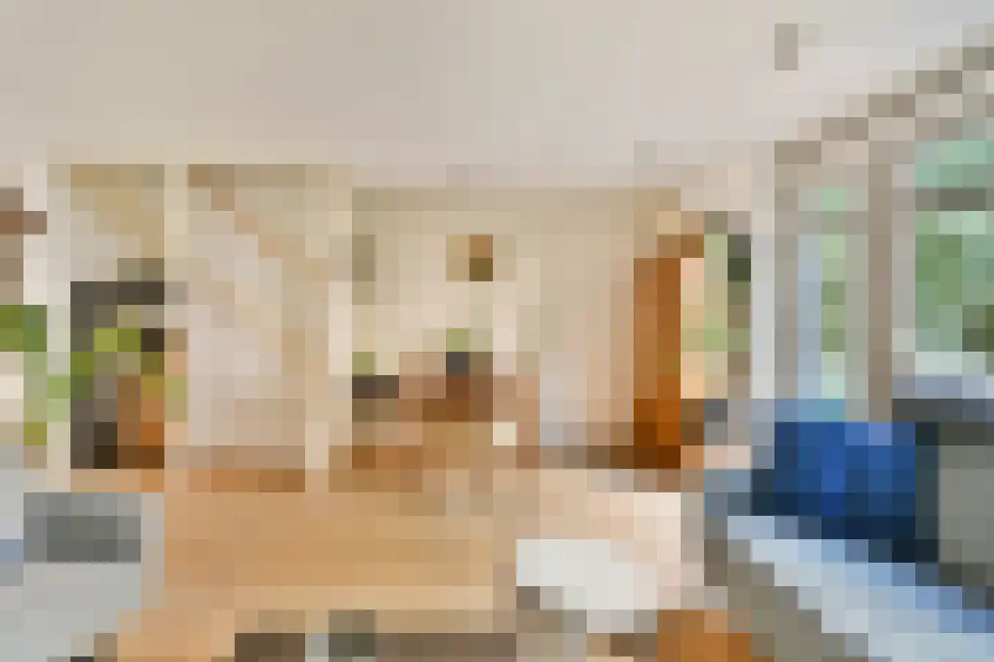Wijttenbachstraat 59 B Amsterdam thumbnail 7