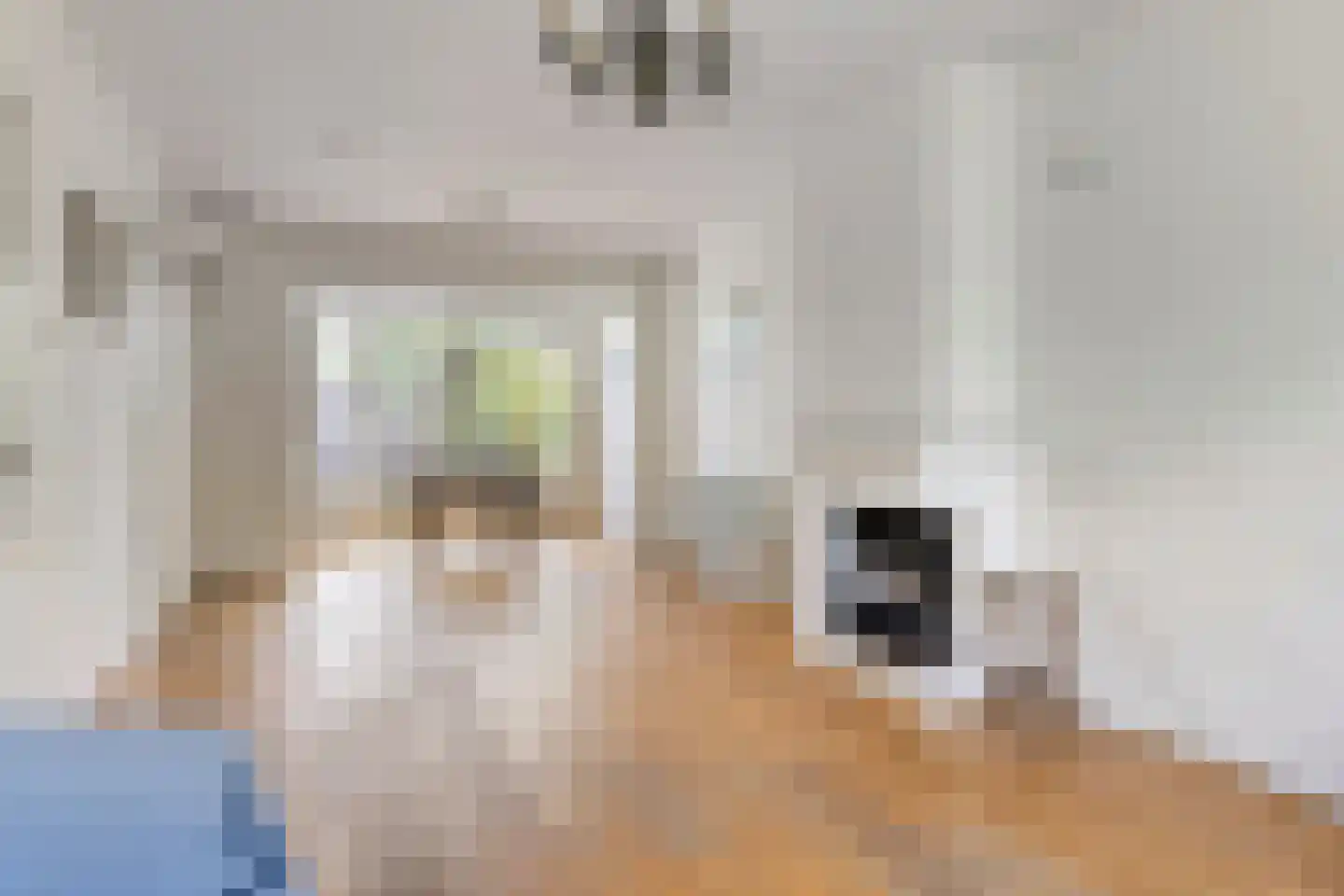 Wijttenbachweg 24 Oegstgeest thumbnail 13