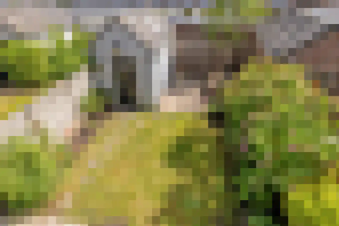 Wijttenbachweg 24 Oegstgeest thumbnail 37