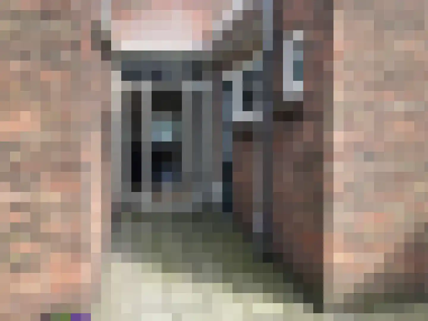 Wijttenbachweg 37 Oegstgeest thumbnail 18
