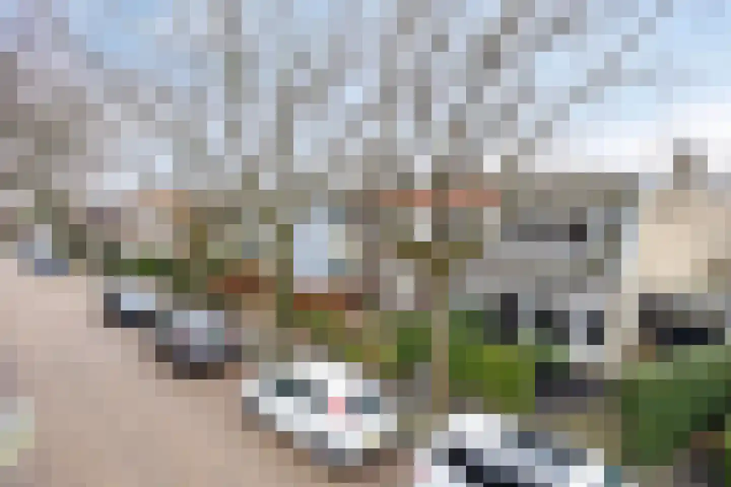 Wijttenbachweg 37 Oegstgeest thumbnail 25