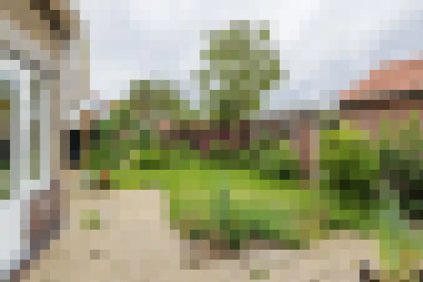 Wijttenbachweg 51 Oegstgeest thumbnail 37