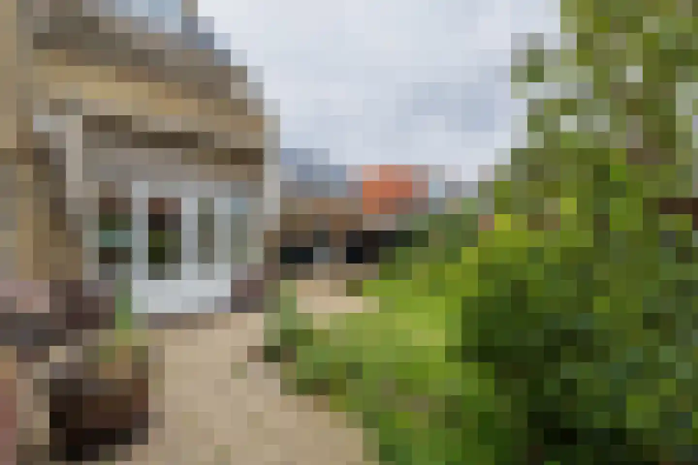 Wijttenbachweg 51 Oegstgeest thumbnail 44