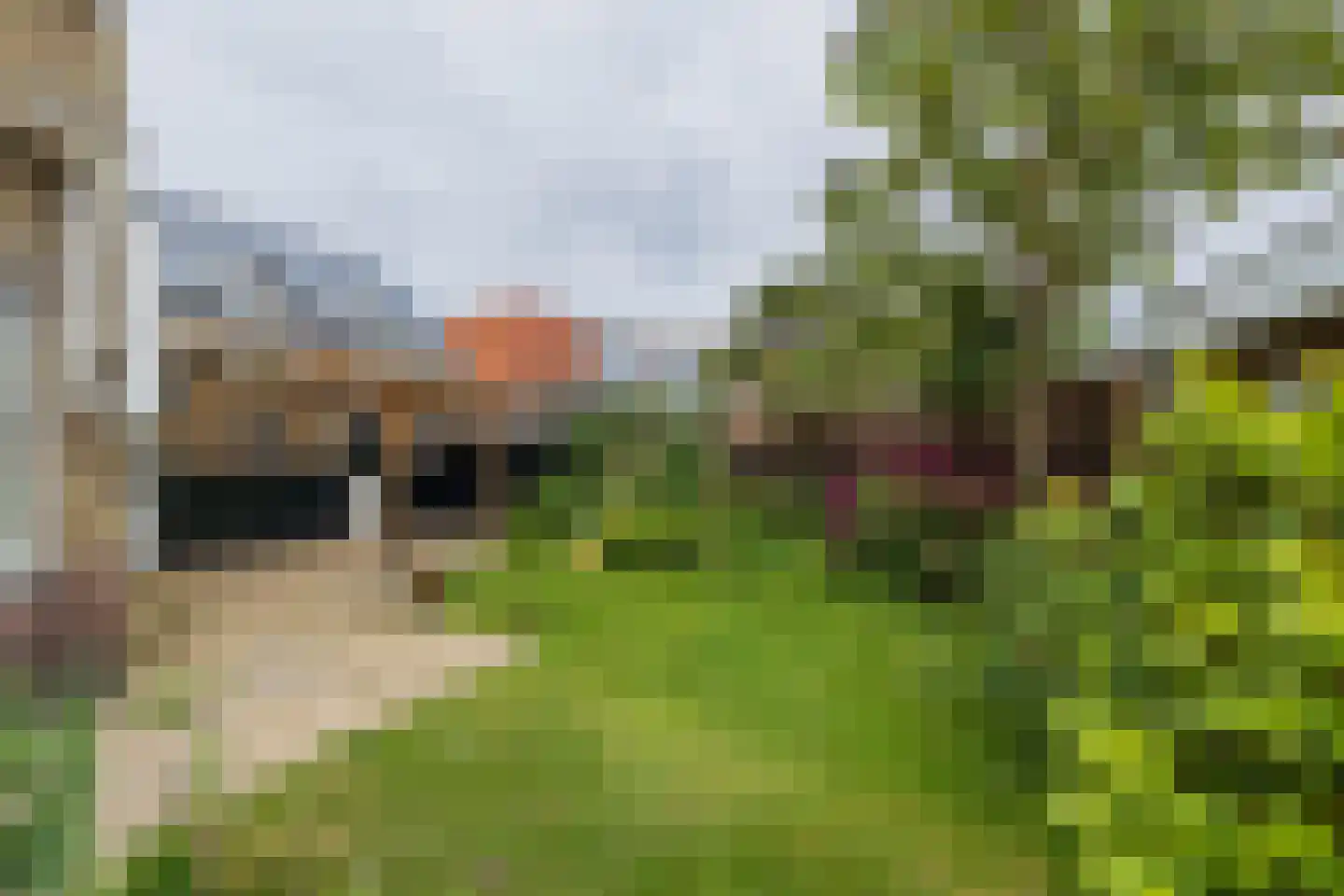 Wijttenbachweg 51 Oegstgeest thumbnail 45