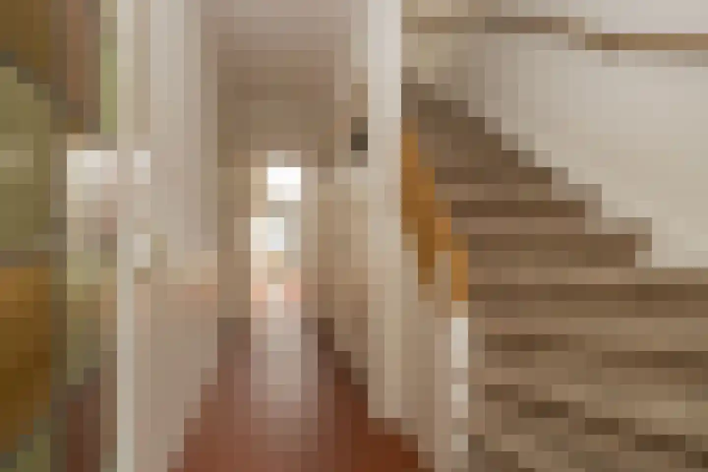 Wijttenbachweg 51 Oegstgeest thumbnail 6