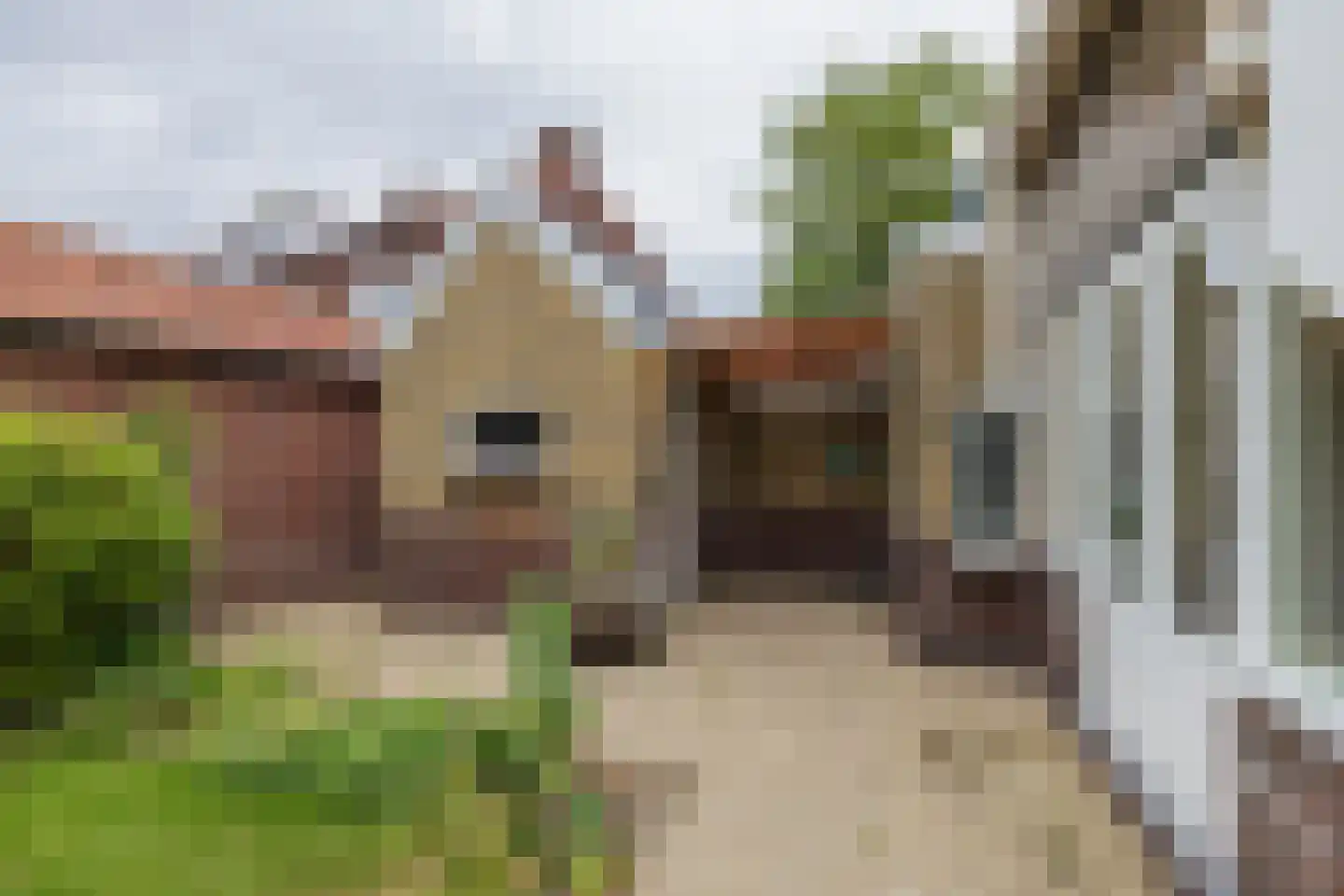 Wijttenbachweg 51 Oegstgeest thumbnail 62