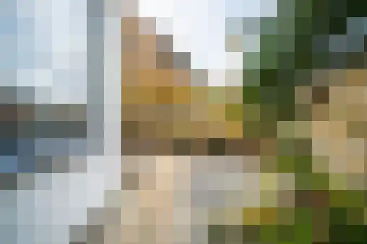Wijttenbachweg 65 Oegstgeest thumbnail 11