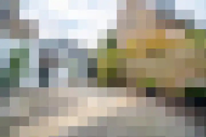 Wijttenbachweg 65 Oegstgeest thumbnail 12