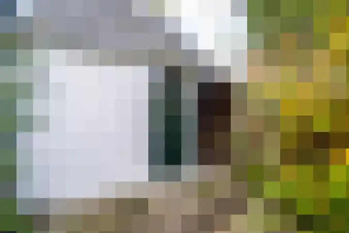 Wijttenbachweg 65 Oegstgeest thumbnail 14