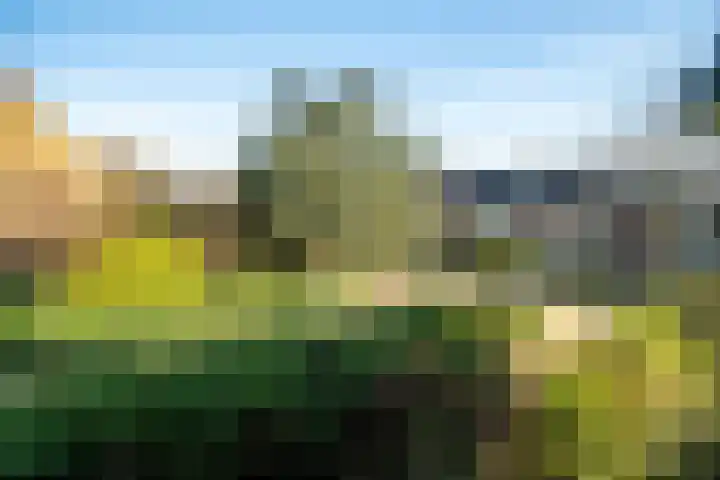 Wijttenbachweg 65 Oegstgeest thumbnail 40