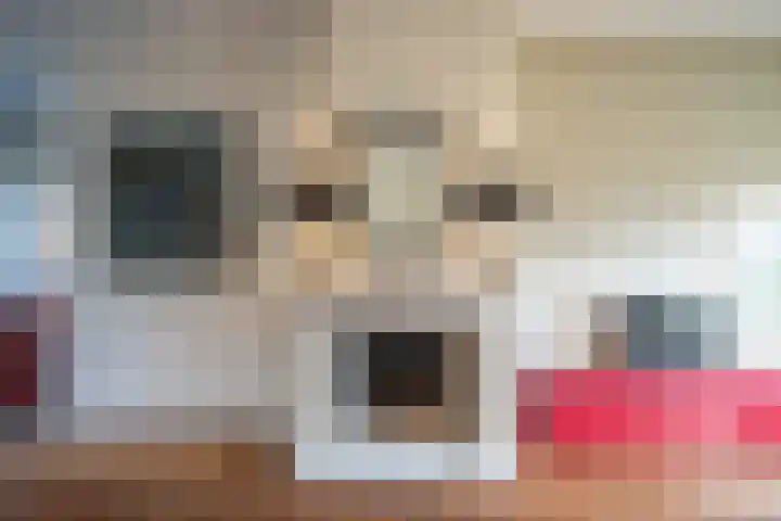 Wijttenbachweg 65 Oegstgeest thumbnail 5
