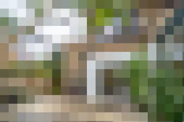 Wijttenbachweg 65 Oegstgeest thumbnail 9