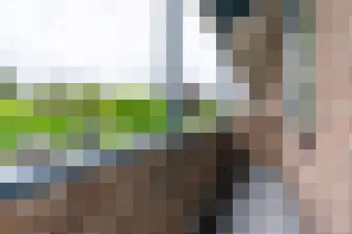 Wijttenbachweg 81 Oegstgeest thumbnail 23