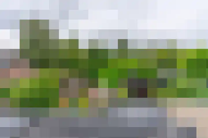 Wijttenbachweg 81 Oegstgeest thumbnail 24
