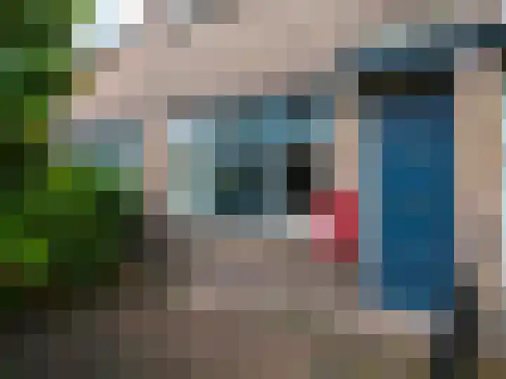 Wijttenbachweg 81 Oegstgeest thumbnail 37