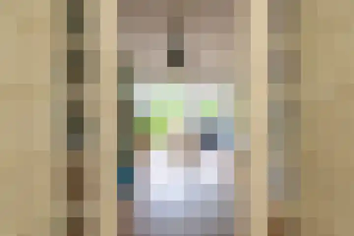 Wijttenbachweg 81 Oegstgeest thumbnail 6