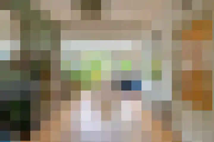 Wijttenbachweg 81 Oegstgeest thumbnail 7