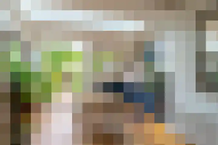 Wijttenbachweg 81 Oegstgeest thumbnail 8