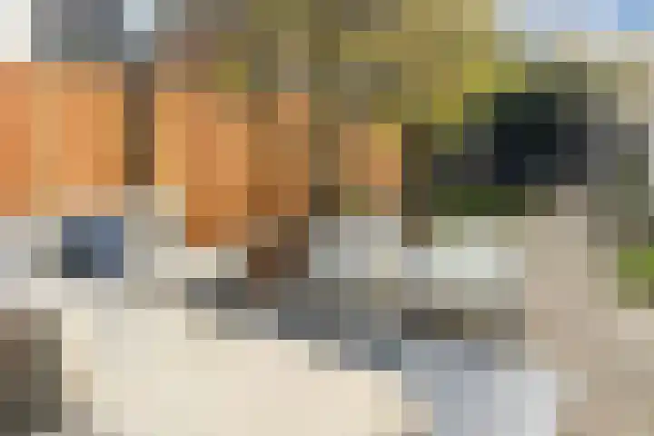 Wijtvliet 14 Hoofddorp thumbnail 12