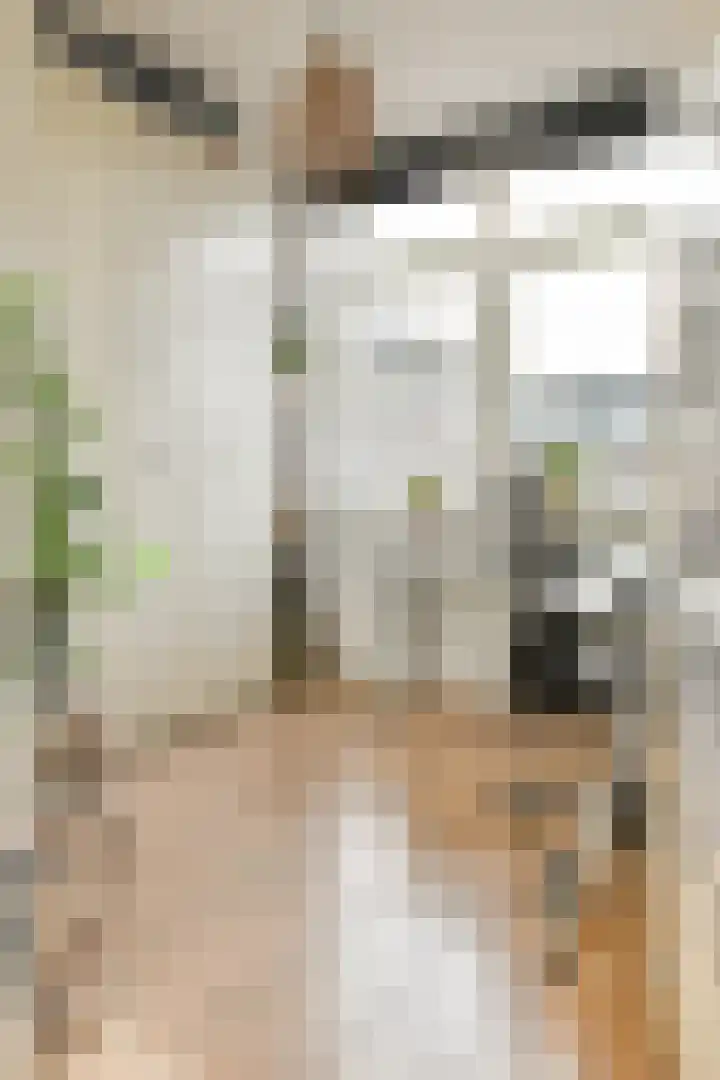 Wijtvliet 14 Hoofddorp thumbnail 19