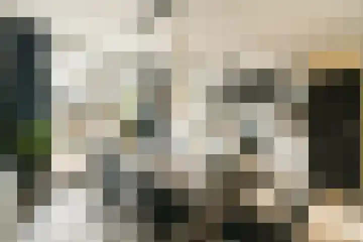 Wijtvliet 14 Hoofddorp thumbnail 4