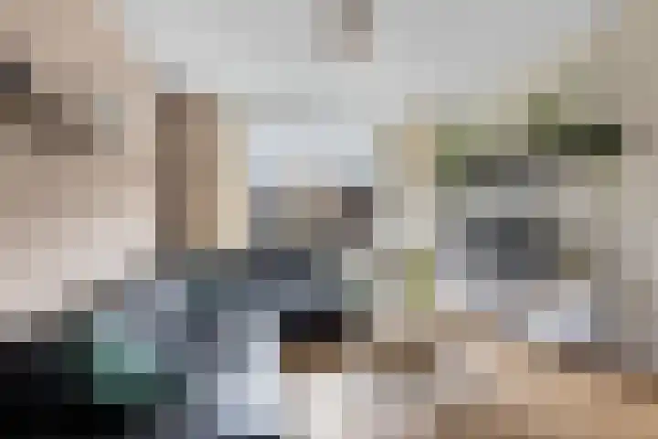 Wijtze Ennemastraat 4 Franeker thumbnail 11
