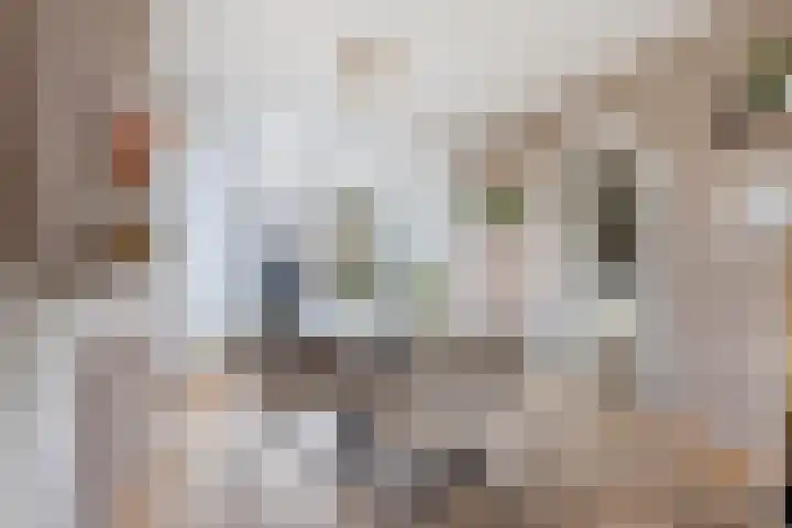 Wijtze Ennemastraat 4 Franeker thumbnail 14