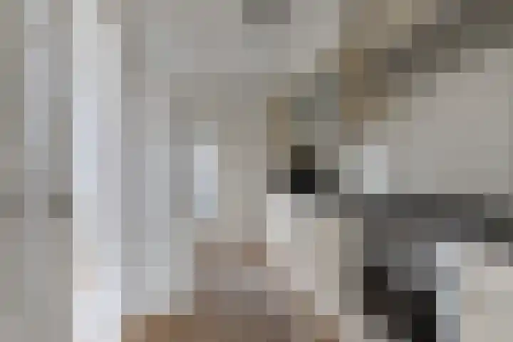 Wijtze Ennemastraat 4 Franeker thumbnail 17