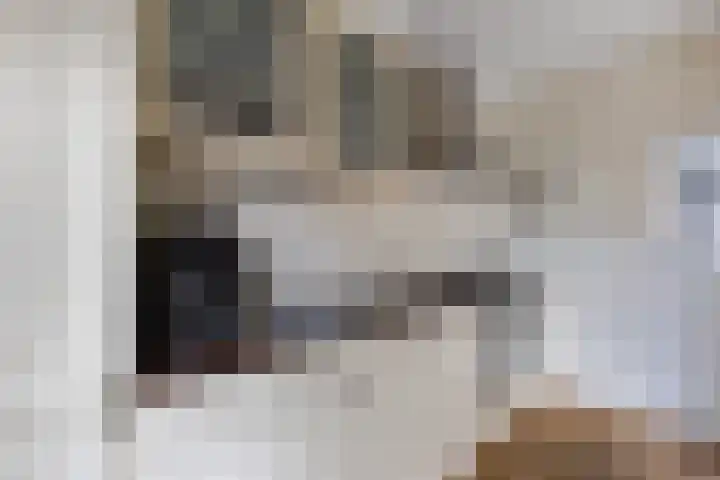 Wijtze Ennemastraat 4 Franeker thumbnail 18