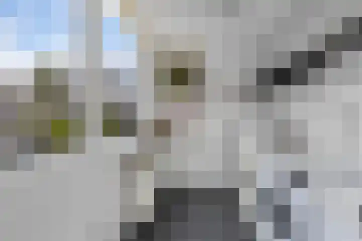 Wijtze Ennemastraat 4 Franeker thumbnail 19